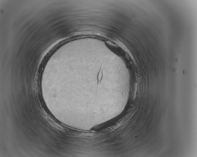 X0000083971068200703161525