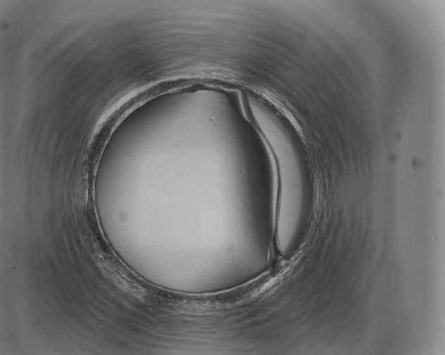 X0000083971069200703161525