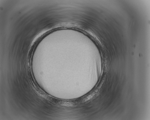 X0000083971070200703161525