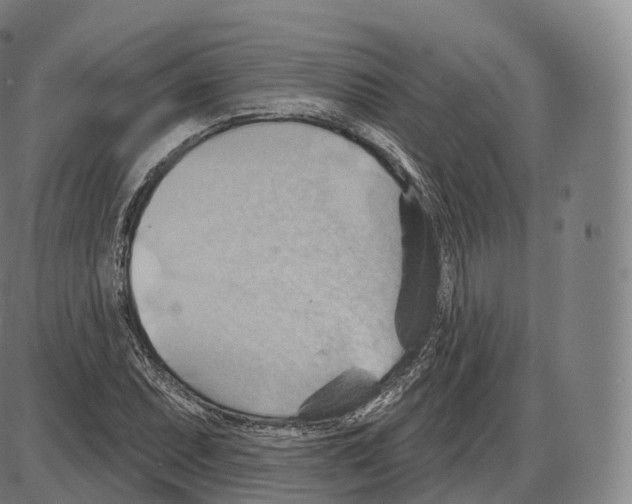 X0000083971071200703161525