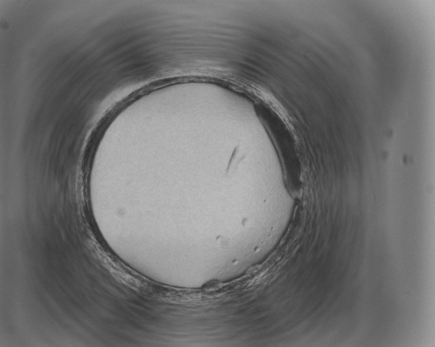 X0000083971072200703161525