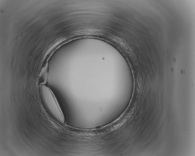 X0000083971073200703161525