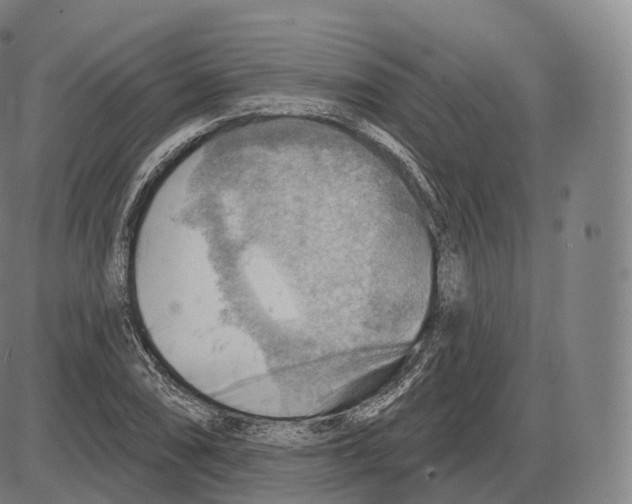 X0000083971074200703161525