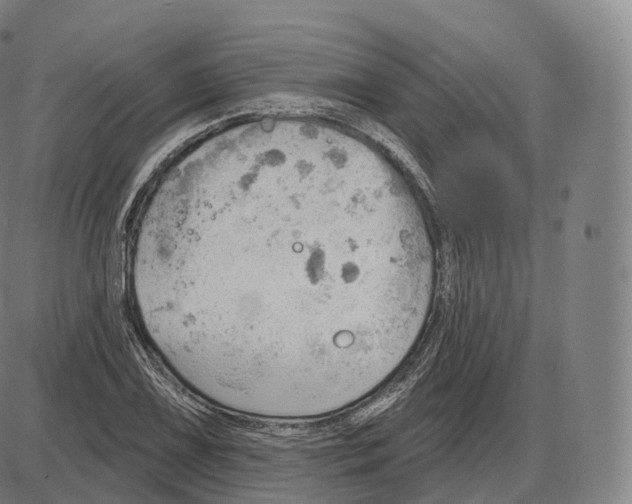 X0000083971075200703161525