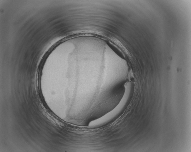 X0000083971076200703161525