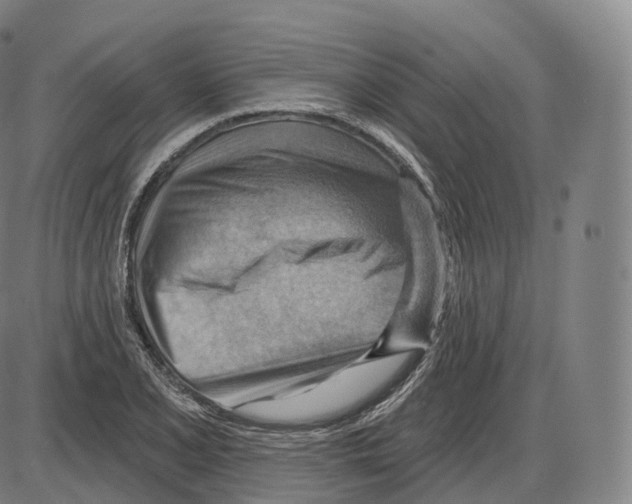 X0000083971077200703161525