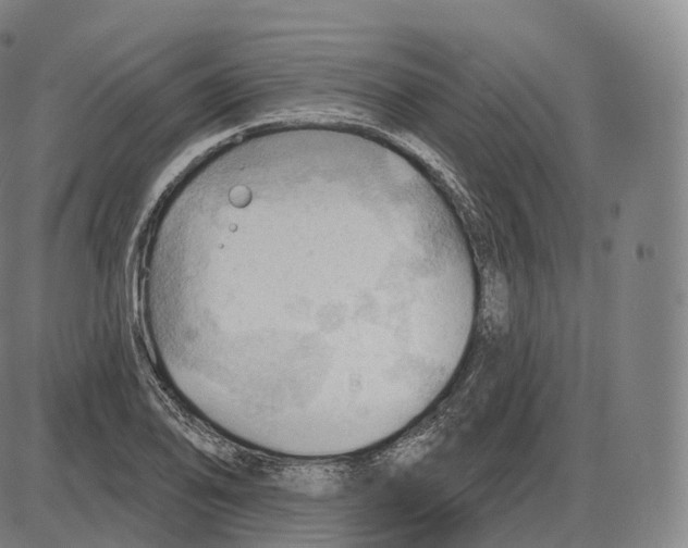 X0000083971078200703161525