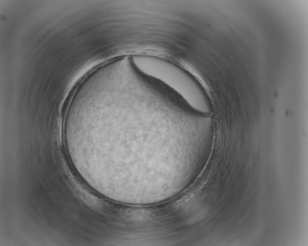 X0000083971079200703161525