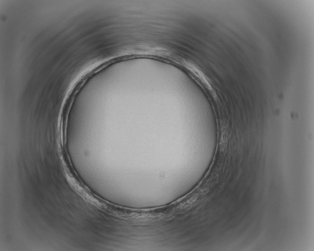 X0000083971080200703161525