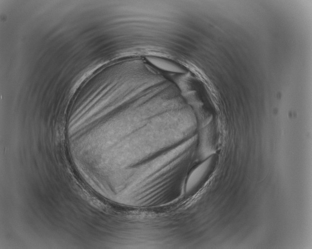 X0000083971081200703161525