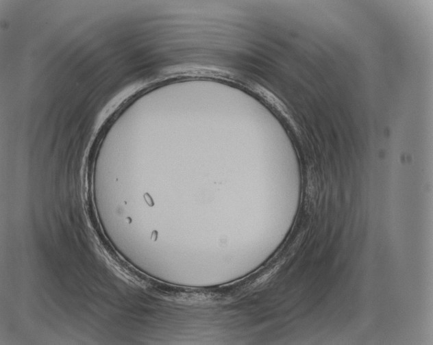 X0000083971082200703161525