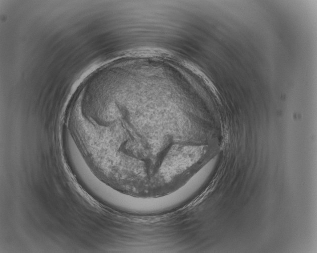 X0000083971083200703161525