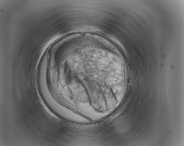 X0000083971087200703161525