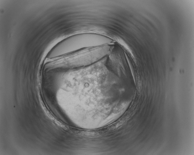 X0000083971088200703161525