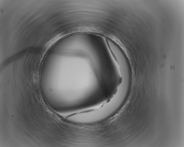 X0000083971089200703161525