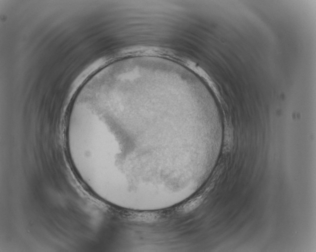 X0000083971090200703161525