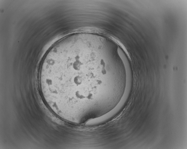 X0000083971091200703161525