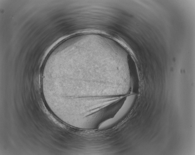 X0000083971092200703161525