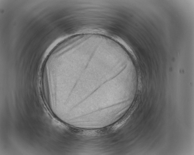 X0000083971094200703161525