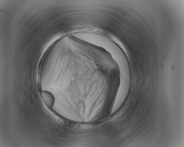 X0000083971095200703161525