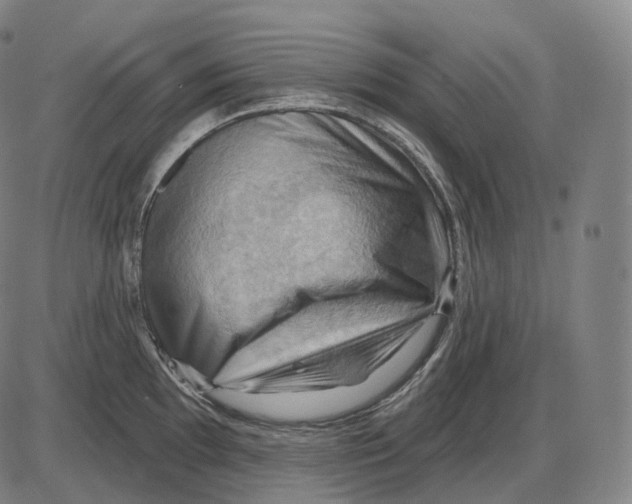 X0000083971097200703161525