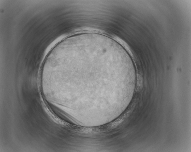 X0000083971098200703161525