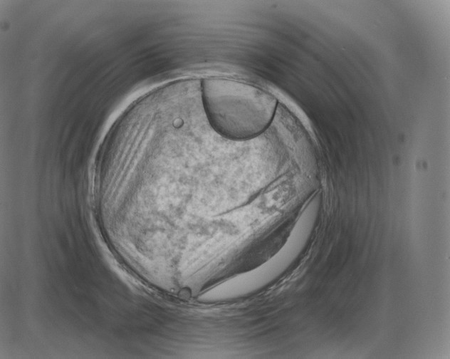 X0000083971099200703161525