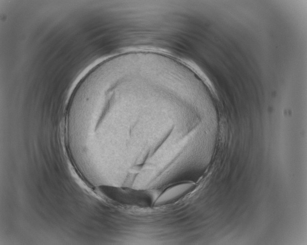 X0000083971100200703161525