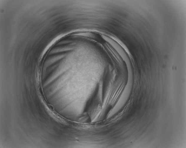 X0000083971101200703161525