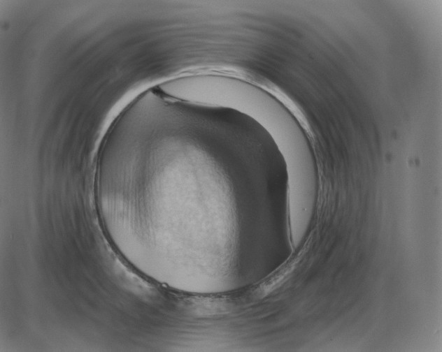 X0000083971102200703161525