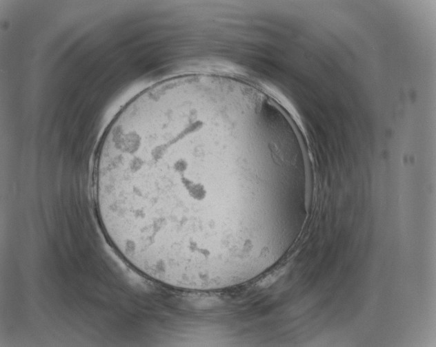 X0000083971103200703161525