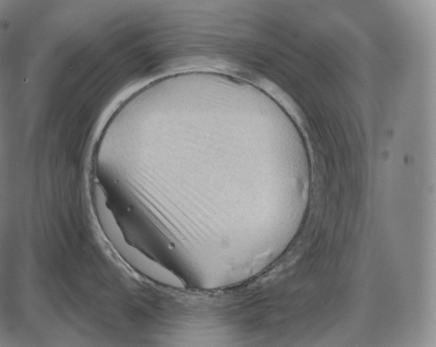 X0000083971104200703161525