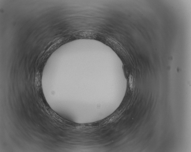 X0000083971107200703161524