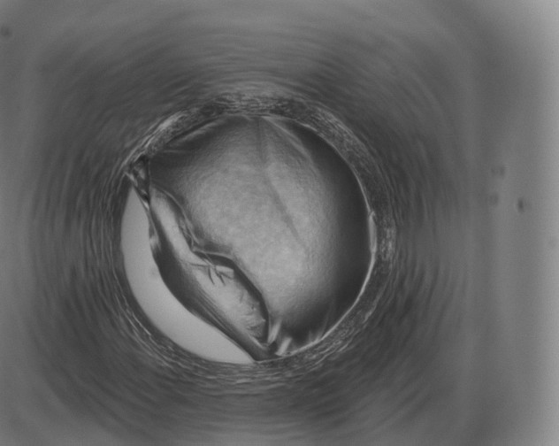 X0000083971108200703161524