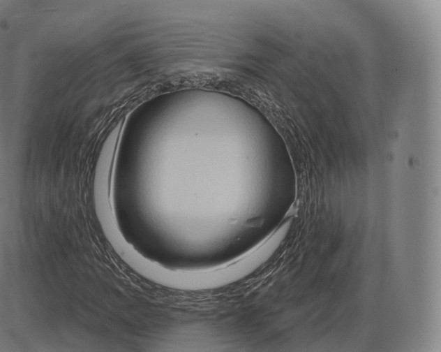 X0000083971109200703161524