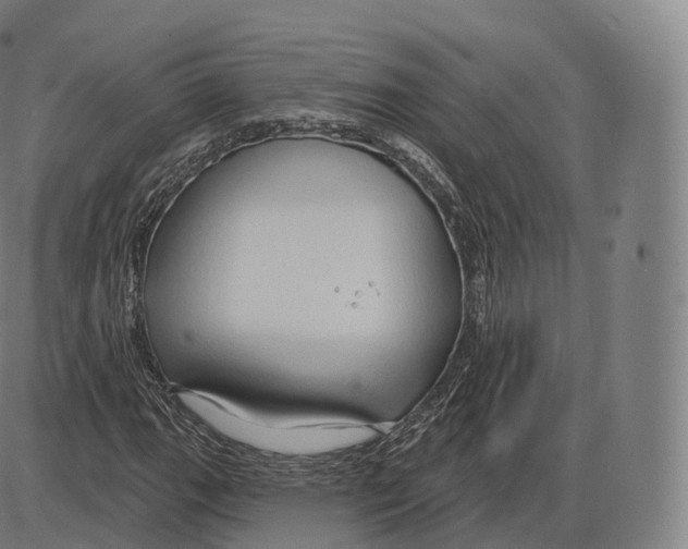 X0000083971111200703161524