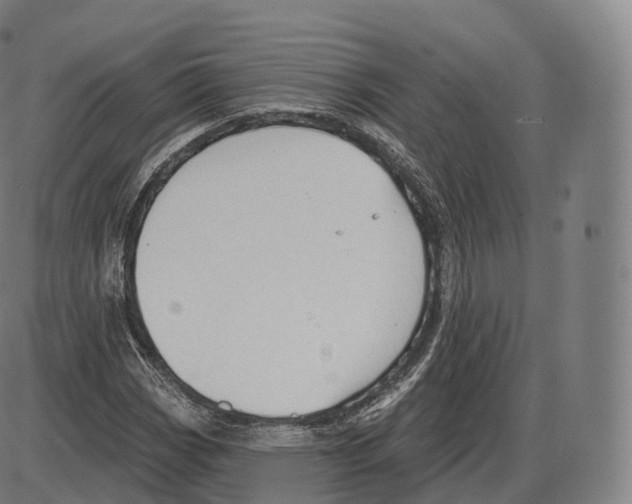 X0000083971113200703161524