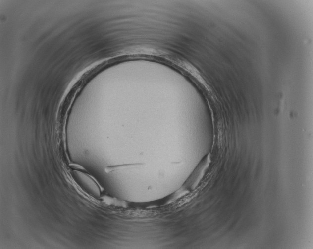 X0000083971116200703161524