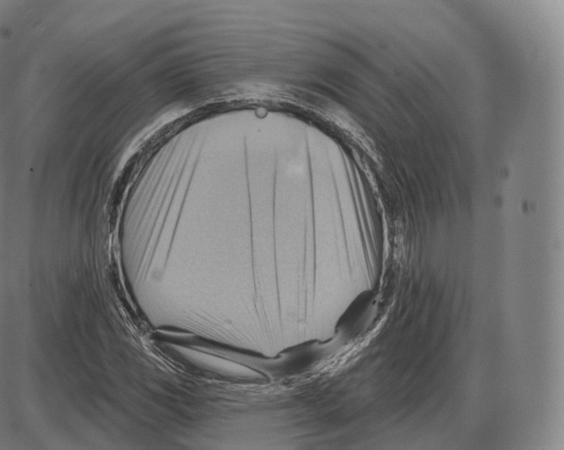 X0000083971117200703161524