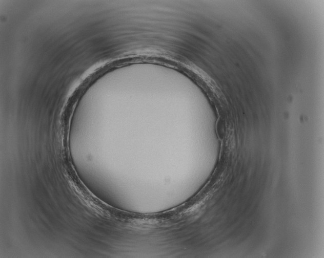 X0000083971118200703161524