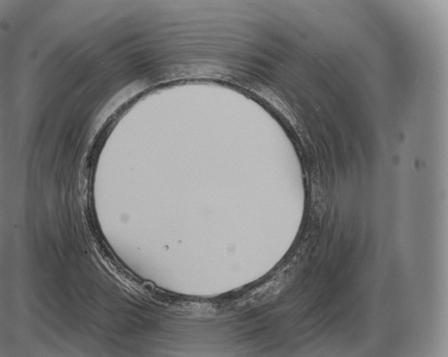 X0000083971119200703161524