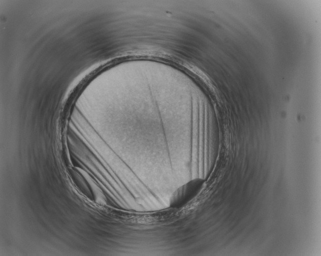 X0000083971120200703161524