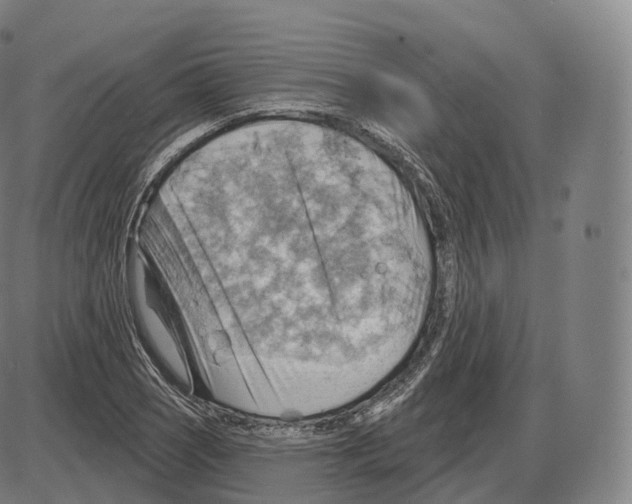 X0000083971121200703161524