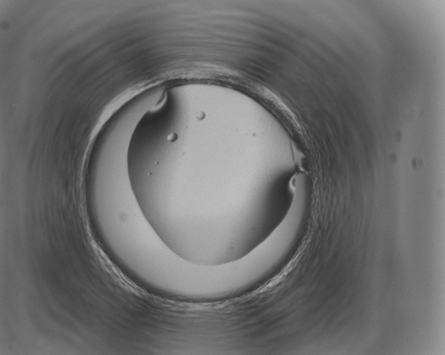 X0000083971122200703161524