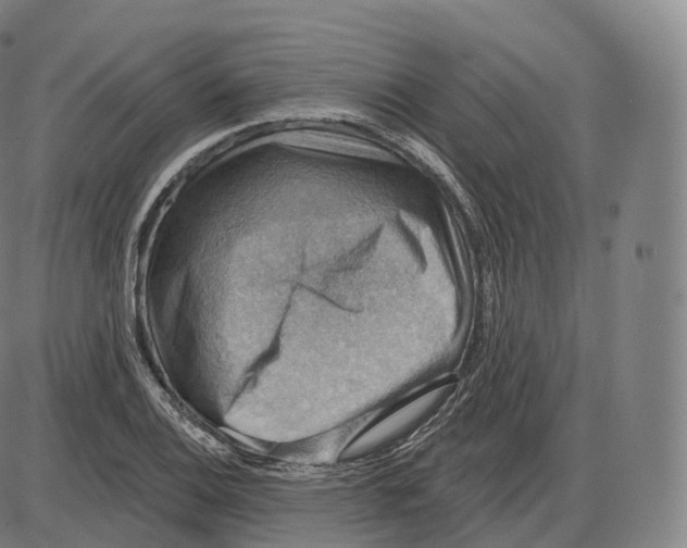 X0000083971124200703161524