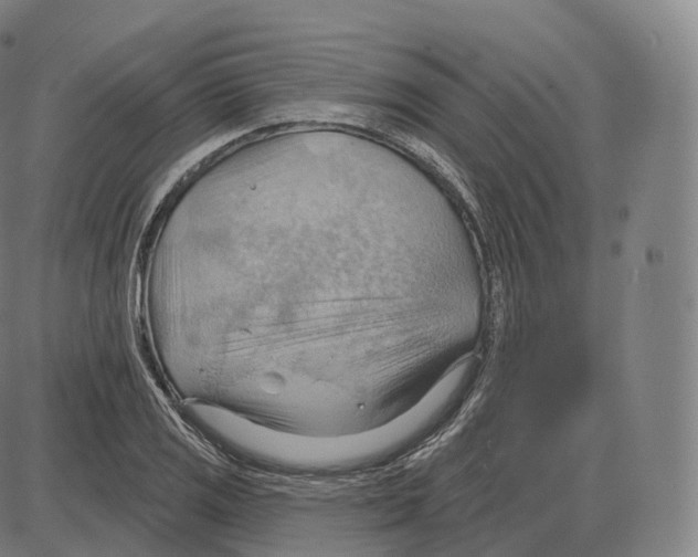 X0000083971125200703161524