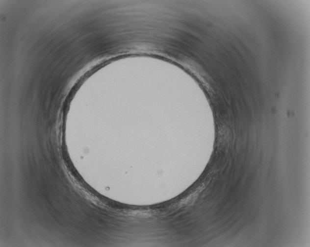 X0000083971126200703161524