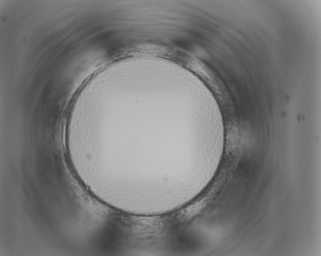 X0000083971130200703161524