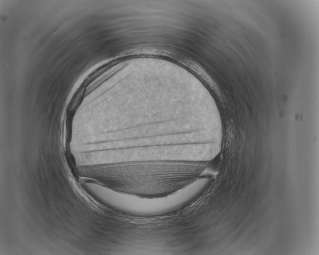 X0000083971132200703161524