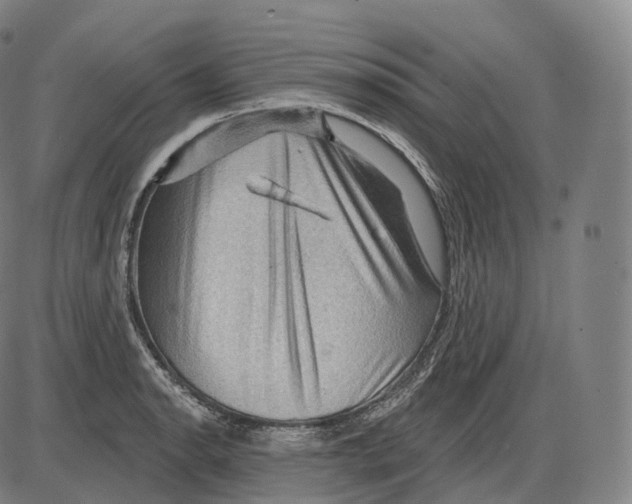 X0000083971134200703161524